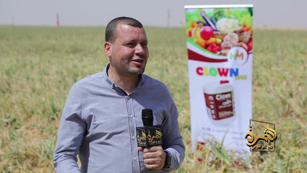 سر نجاح زراعة البصل من الغرس لحد الحصاد