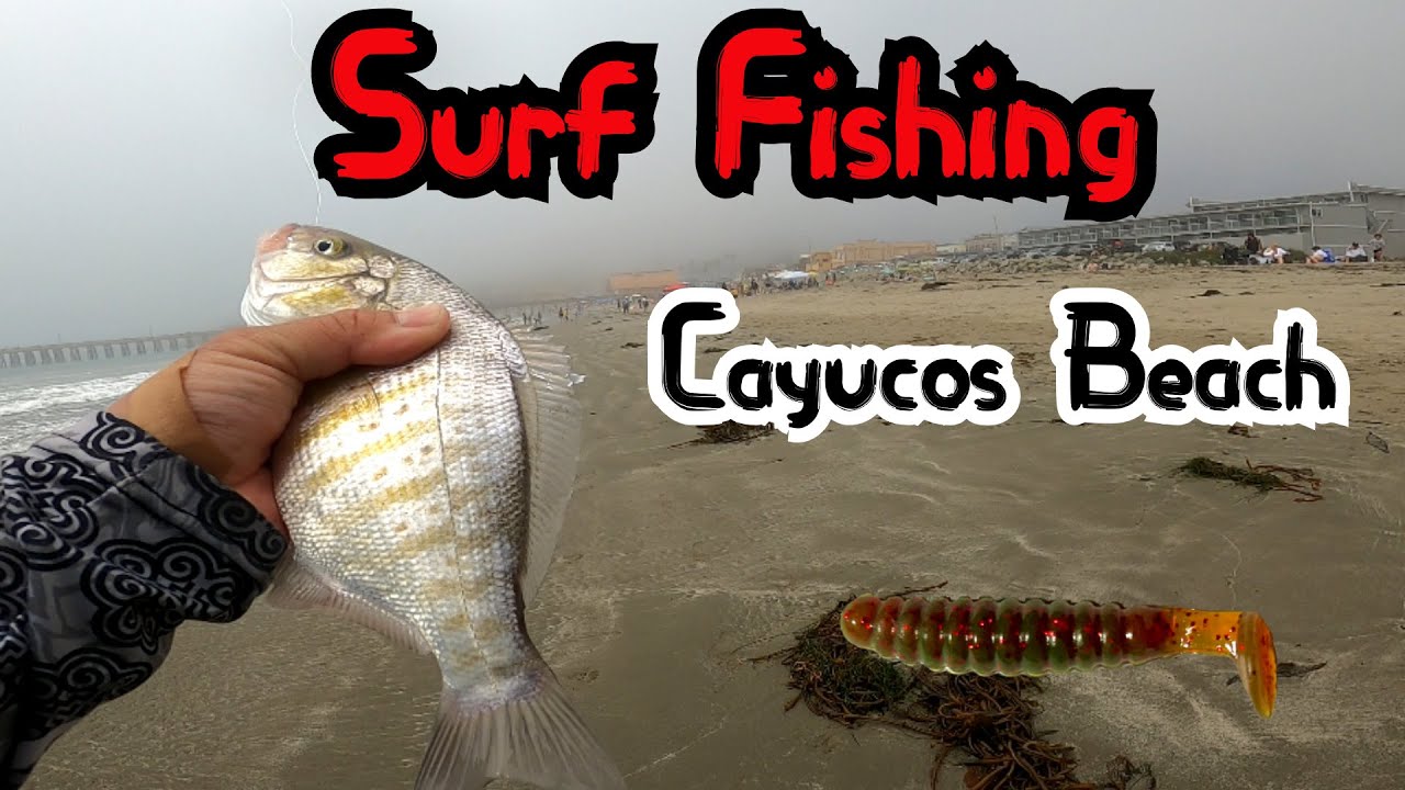 Surf Perch Fishing (Cayucos Beach)