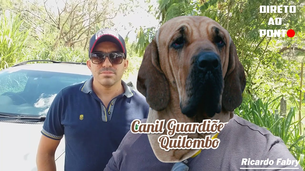 COMO CRIAR CACHORRO FILA BRASILEIRO
