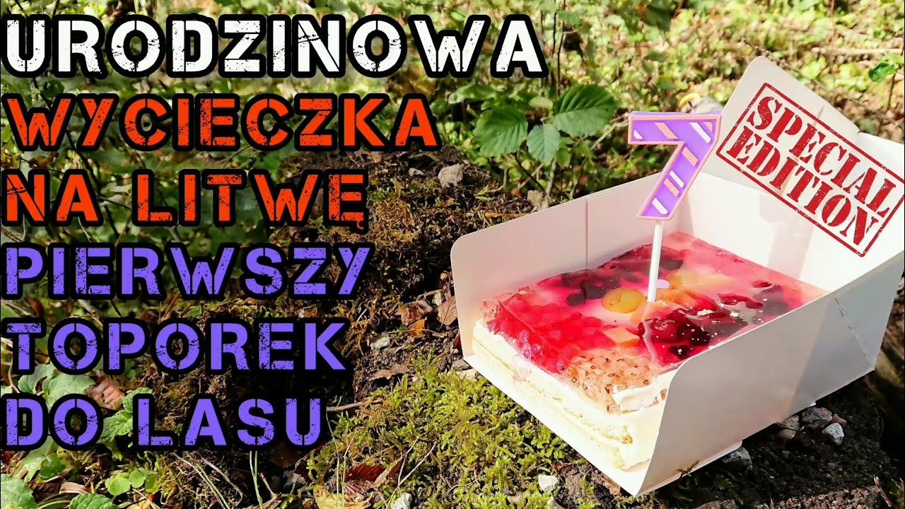 Urodzinowa Wycieczka Na Litwę & Pierwszy Toporek Do Lasu SPECIAL EDITION #Lithuania #familytime #zoo