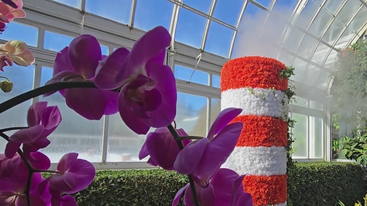 Bronx landmark blooms with color at annual Orchid Show