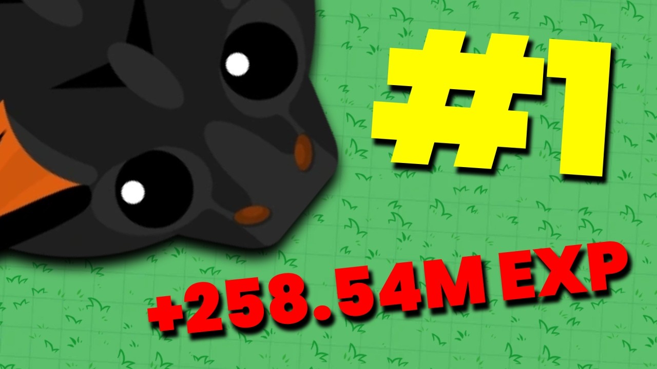 I got 258.54M Exp in solo mope.io