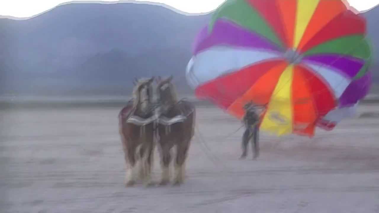 ParaSailing on Horses!