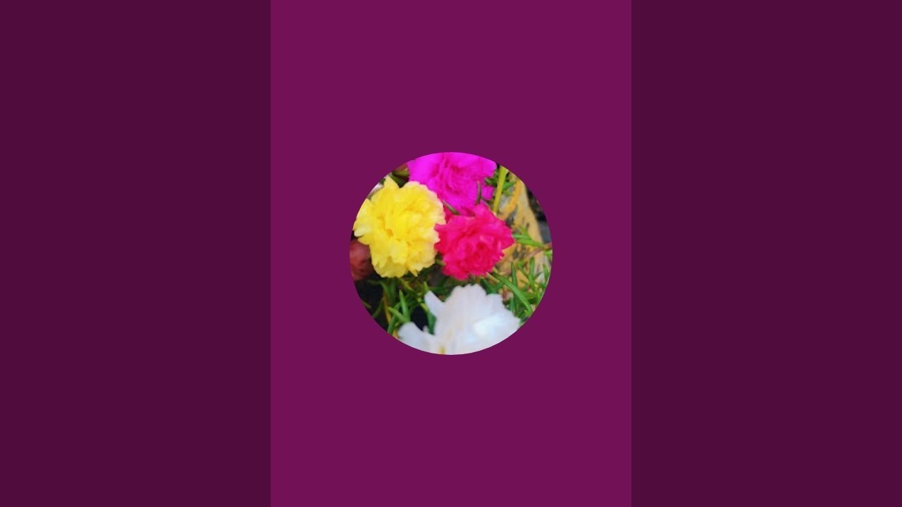 USHA RANI VIBES is live