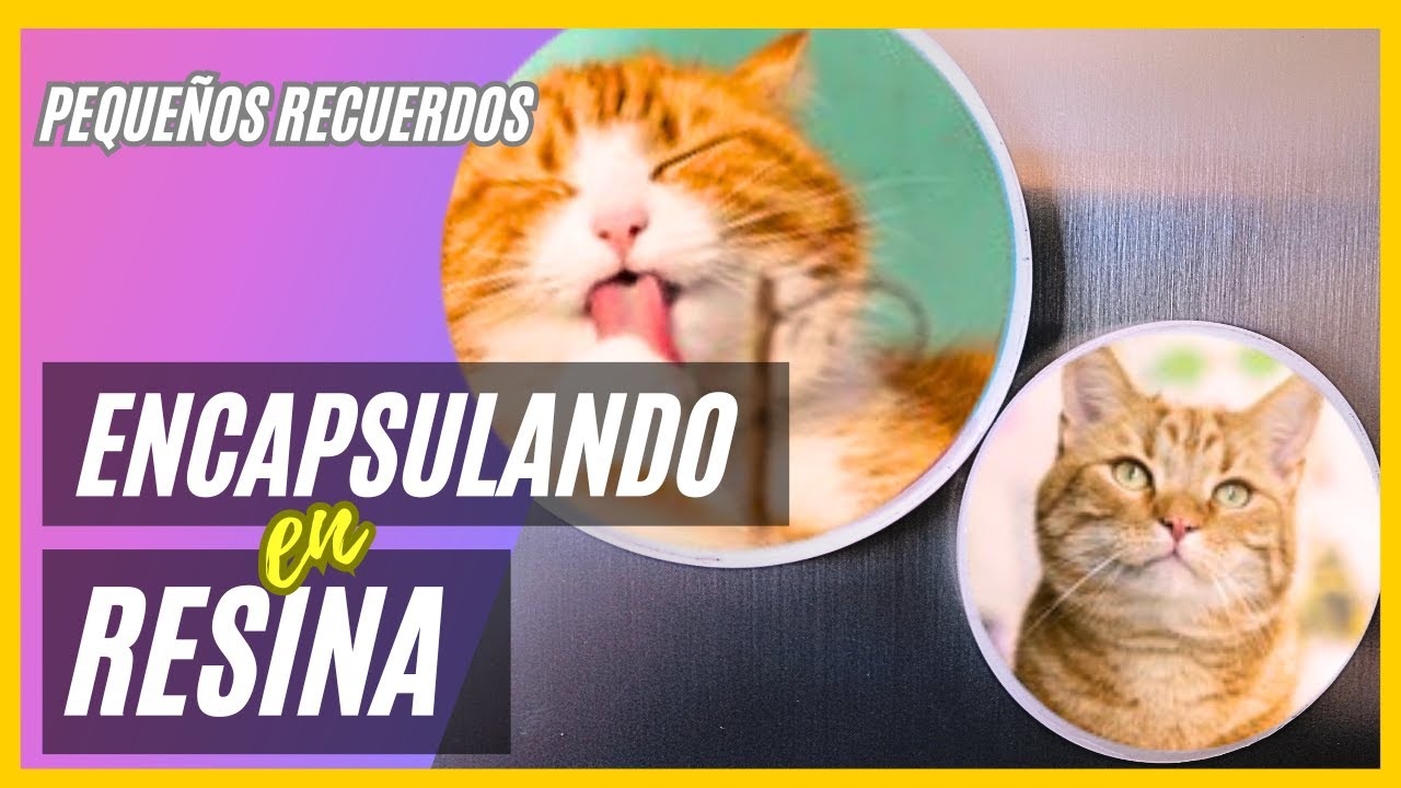 Como ENCAPSULAR Fotografías en RESINA Paso a Paso