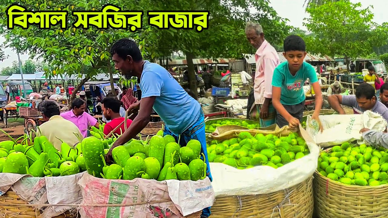 সবজি নিয়ে হুলস্থুল কান্ড যশোরের ভাটার বাজারে || Panorama Haat Bazar