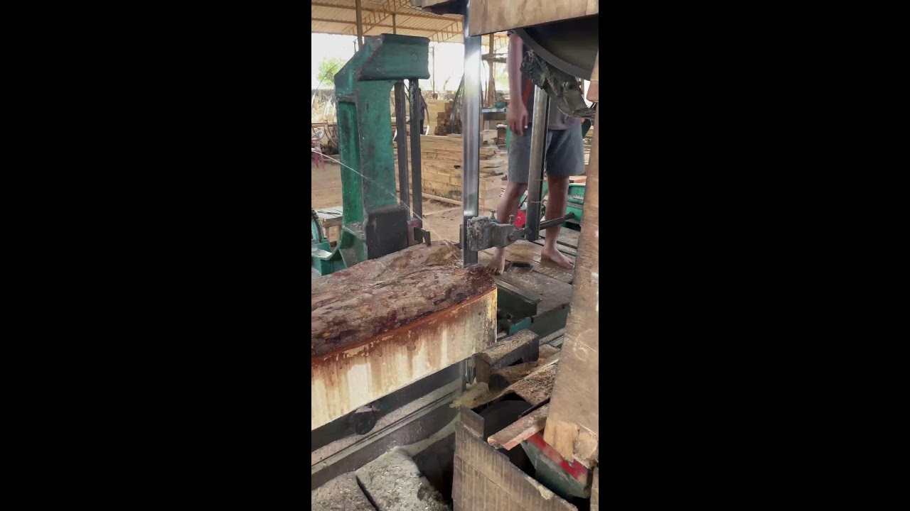 Saw mill big wood cutting style