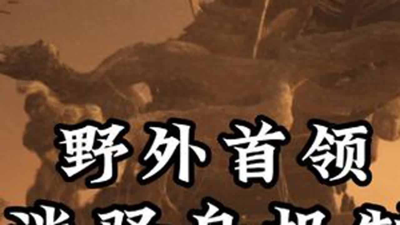 《燕云十六声》河西野外首领迷驿舟机制讲解，轻松获得隐藏外观 #燕云十六声 #燕云说书人计划 #明月照玉门 #燕云十六声PC端 #燕云十六声攻略