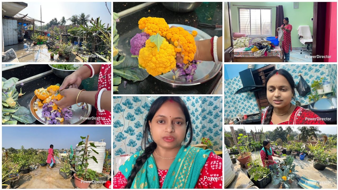 আর সহ্য করতে না পেরে এই পথটাই বেছে নিলাম 