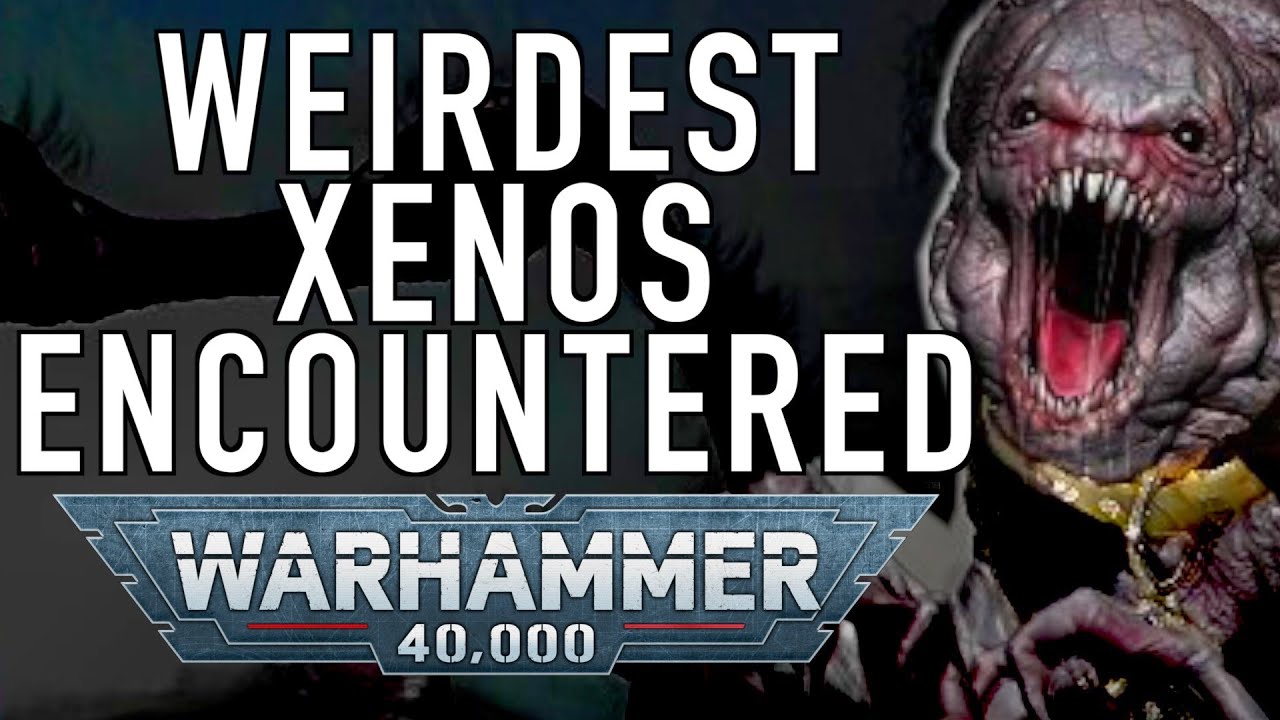 Weirdest Xenos civilizations the Imperium has come into contact with in Warhammer 40K ?