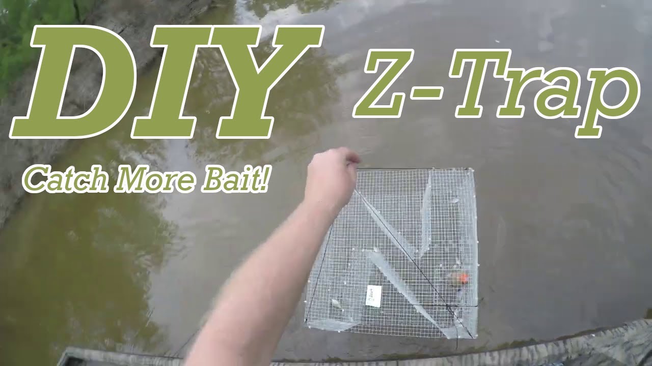 DIY Z-Bait Fish Trap for Catching Bream