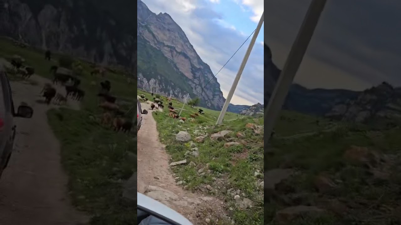 Осетия