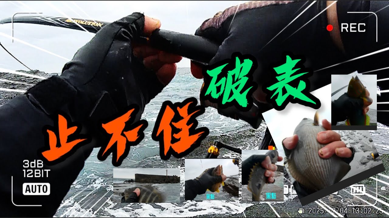 萊萊 馬崗 釣遊分享 拉力破表 止不住 #fishing #釣魚 #磯釣 #白毛 