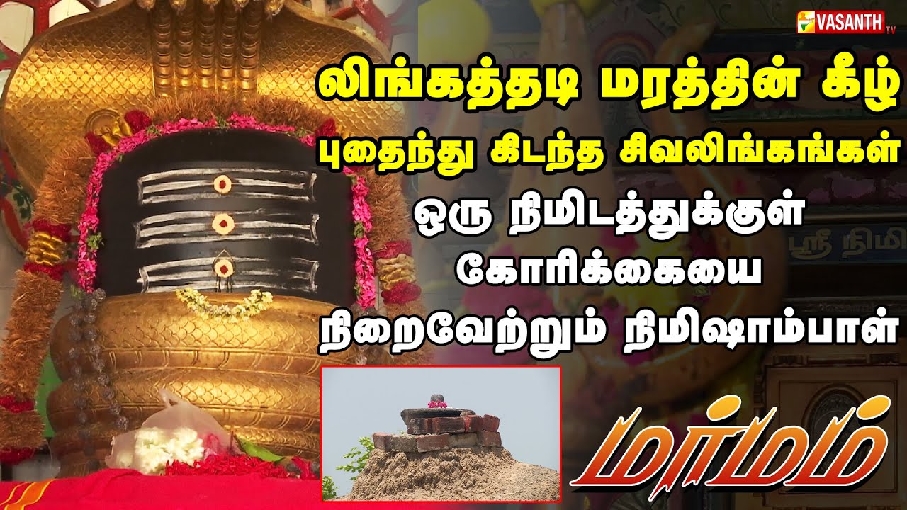 ஒரு நிமிடத்துக்குள் கோரிக்கையை நிறைவேற்றும் நிமிஷாம்பாள்... | Marmam | Vasanth TV