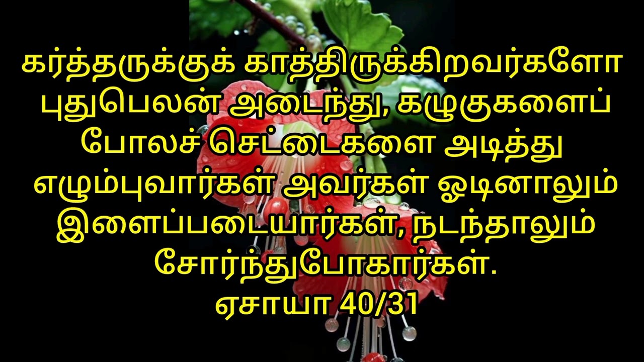 நீங்கள் எழும்புவீர்கள்