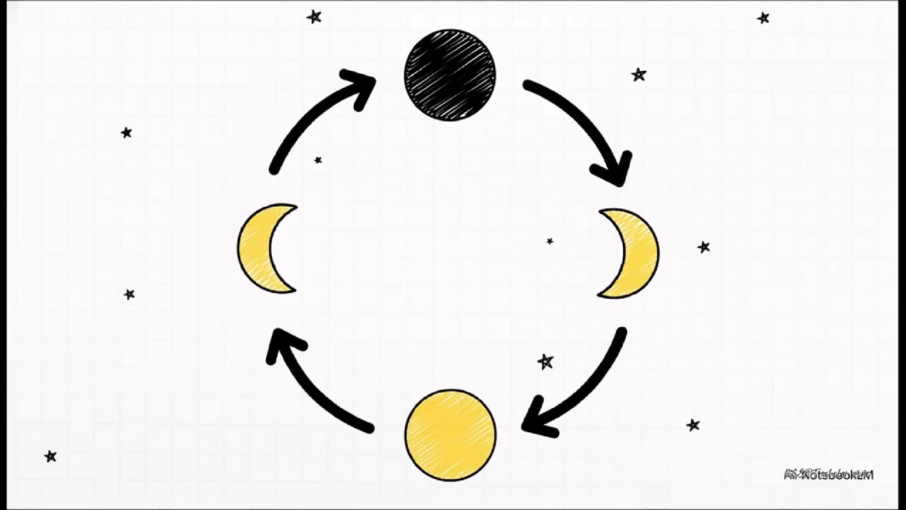 Keeping Time with the Skies | Class 8 Science Chapter 11 | New NCERT