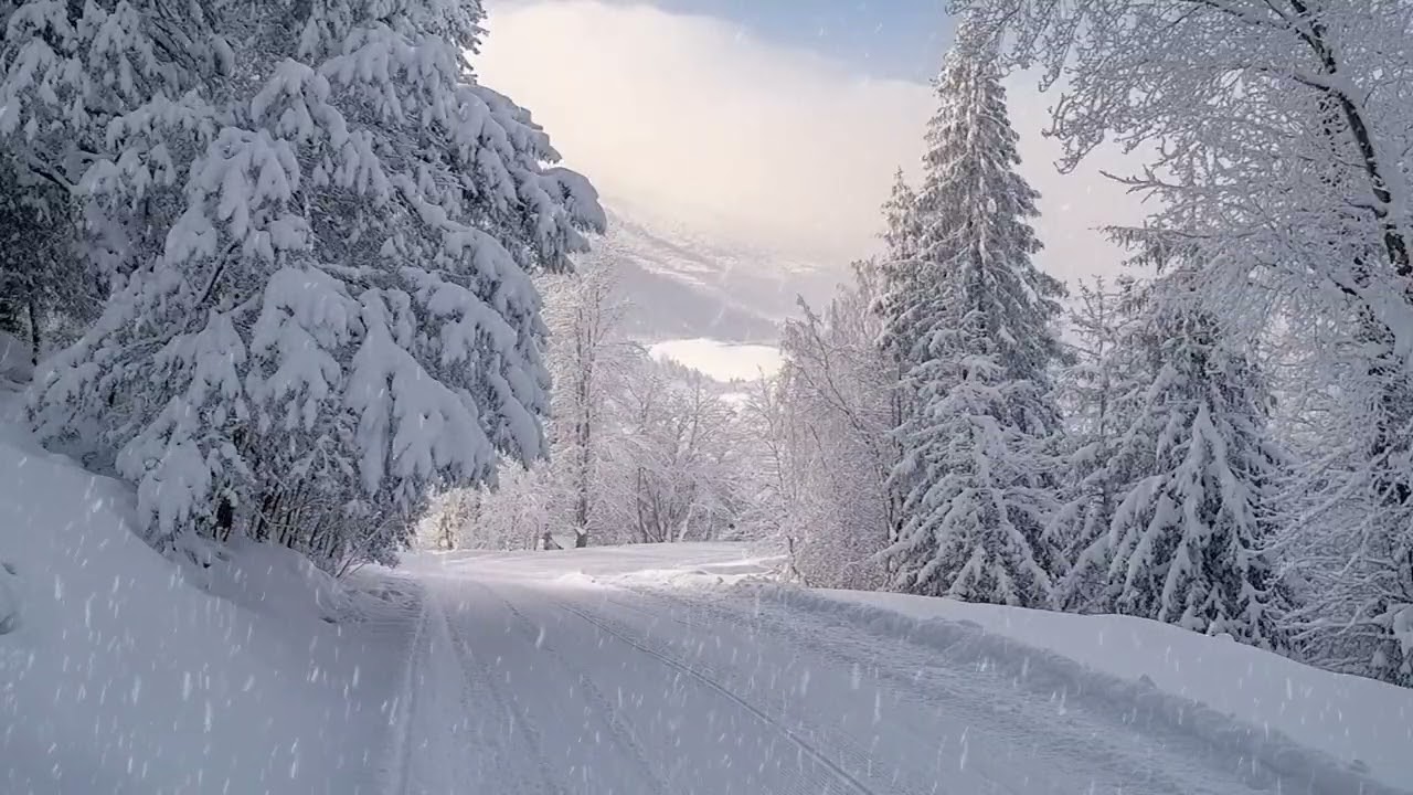 Winter Morning Hovers Over a Road Wrapped Completely in Falling Snow