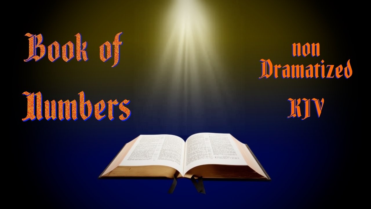 Numbers KJV Audio Bible with Text