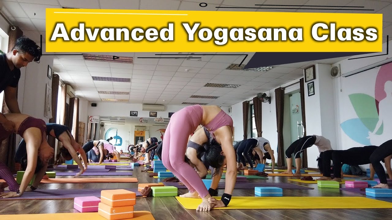 | Advanced Traditional Vinyasa Flow Yoga Class | Raja Gupta Yoga Class