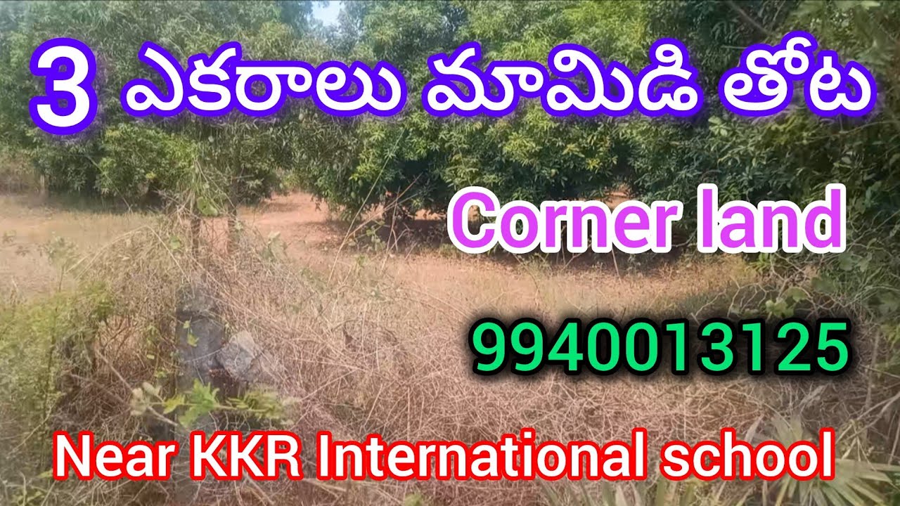 3 ఎకరాల మామిడి తోట, KKR International school, corner land, near ORR, అగిరిపల్లి - 9940013125-AD-203