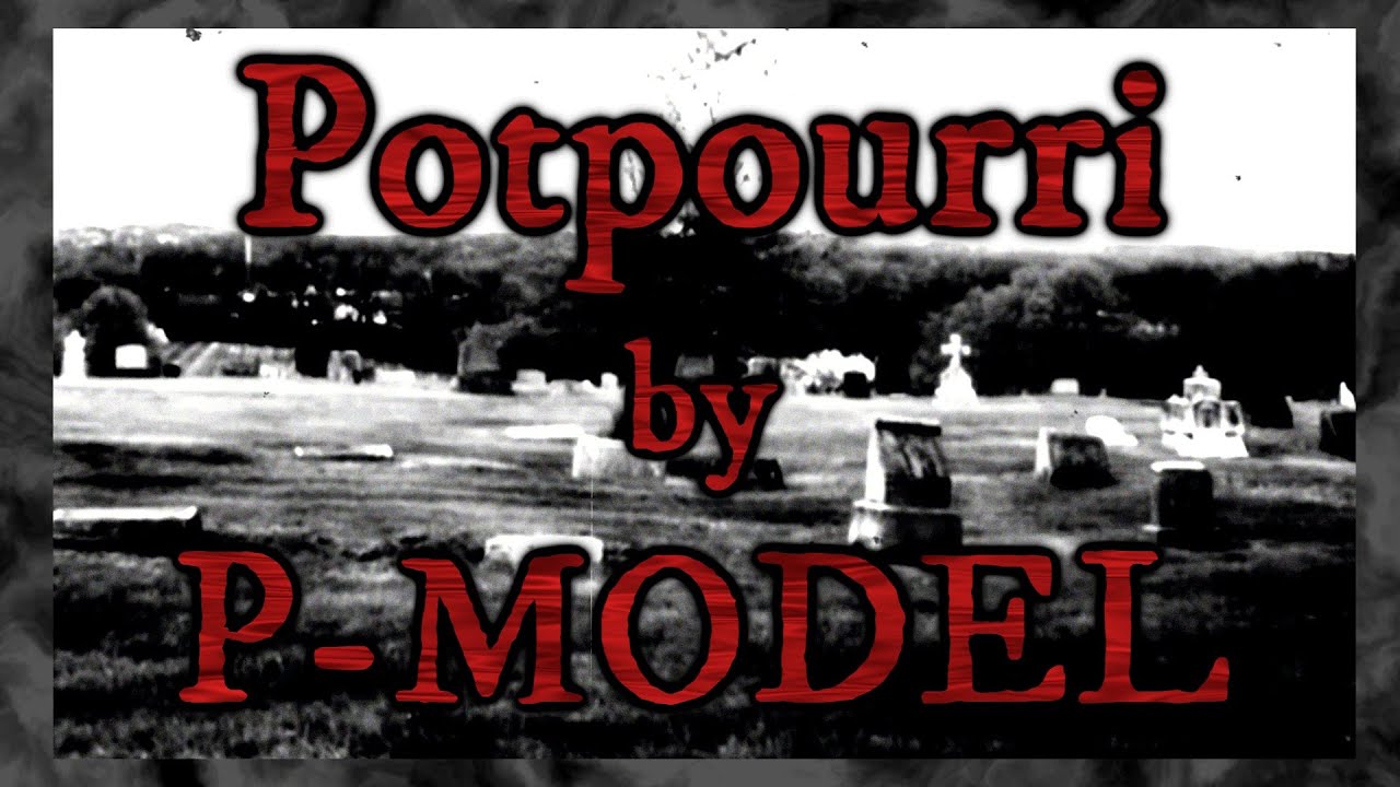 P-MODEL - Potpourri (Lyric Video)