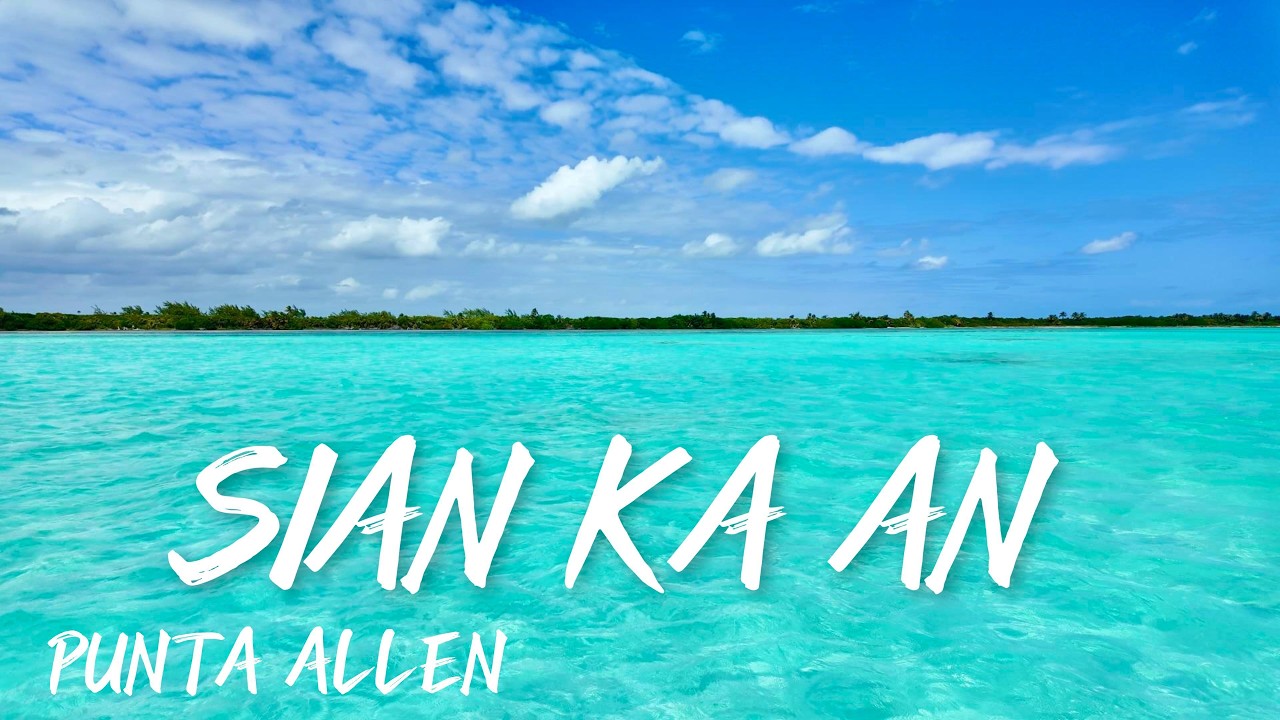 🔴 PUNTA ALLEN 🌴SIAN KA AN  en TOUR 🪸