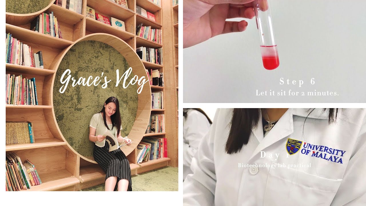 Universiti Malaya Vlog | Biotechnology Practical | AIESECer Life