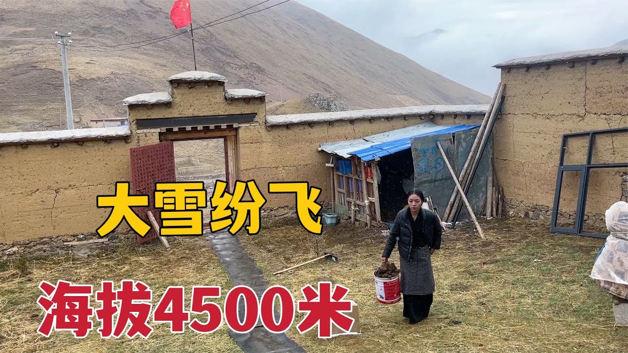 【那曲拉姆】169 海拔4500米山上大雪纷飞，藏族姑娘烧牛粪煮饭，蔬菜炒牛肉特别香