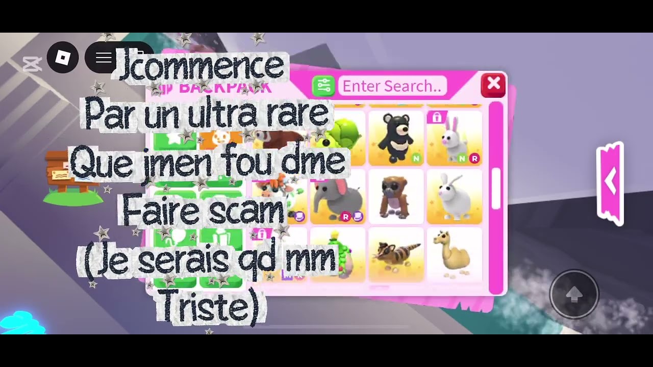 Scamer une scammuese