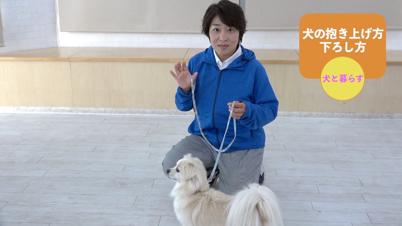 犬と暮らす　犬の抱き上げ方・下ろし方