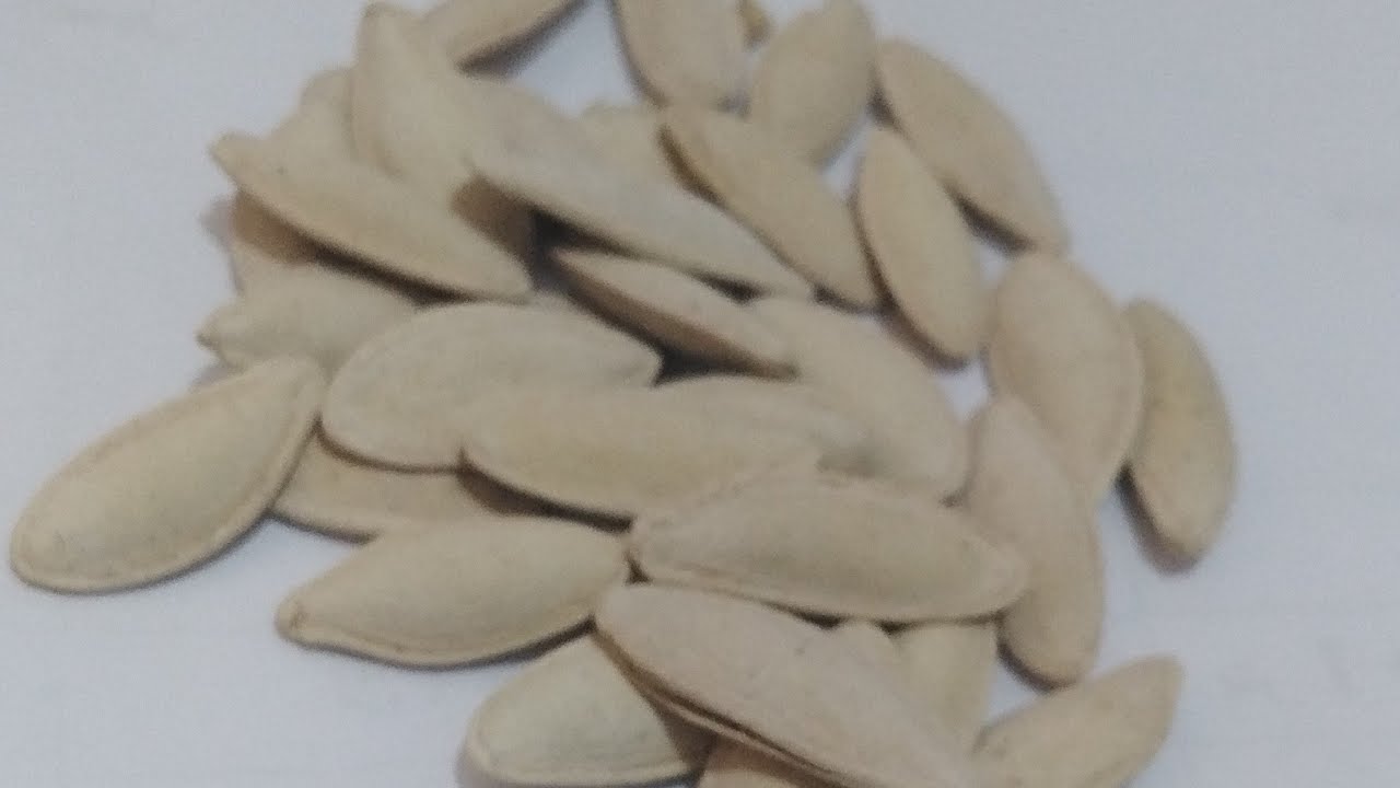 دراسة جدوي زراعة لب الكوسه 01090855418