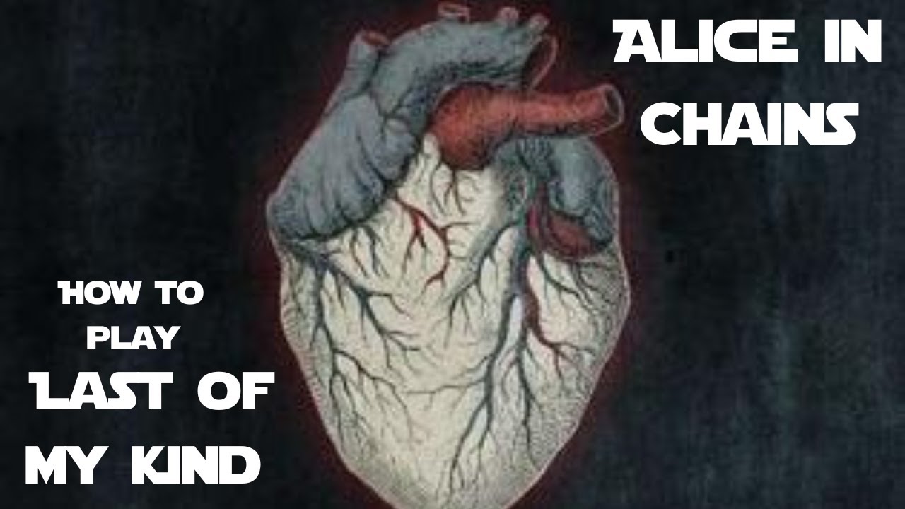 More Drop D Alice in Chains | Last of my Kind Guitar Tutorial