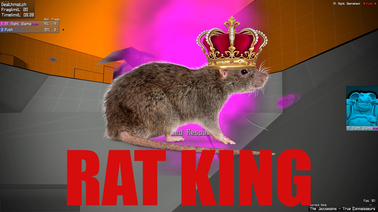 The Rat King (Ratz Instagib 2.0)