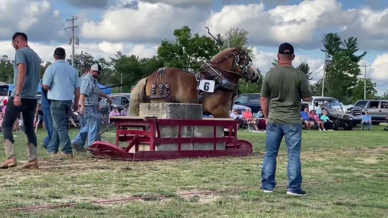 Baldwin horse pulls 2023
