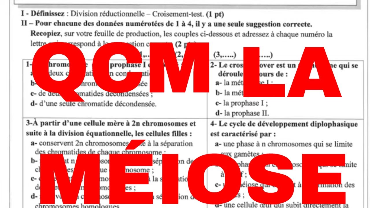 QCM:la méiose