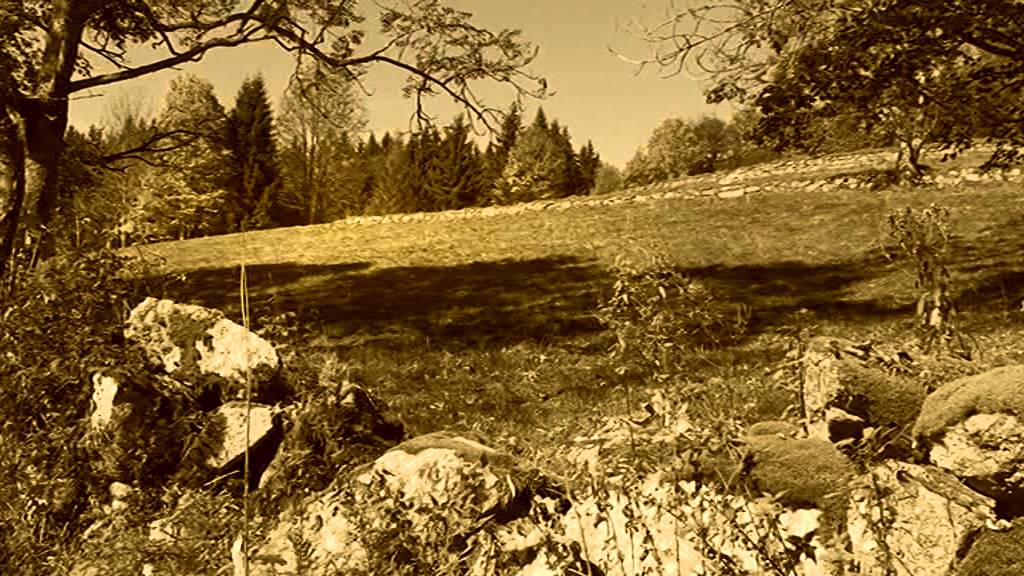 Šumava   Šumavské pláně 2