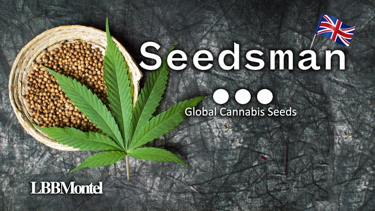 Legends, Genetics and Growth: Building Seedsman