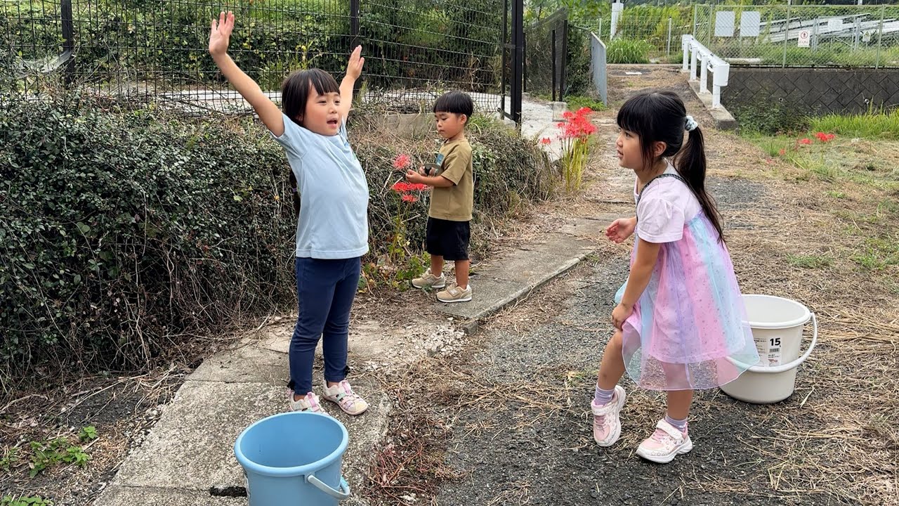 ほぼ、どうぶつの森な休日を4歳と6歳と過ごした