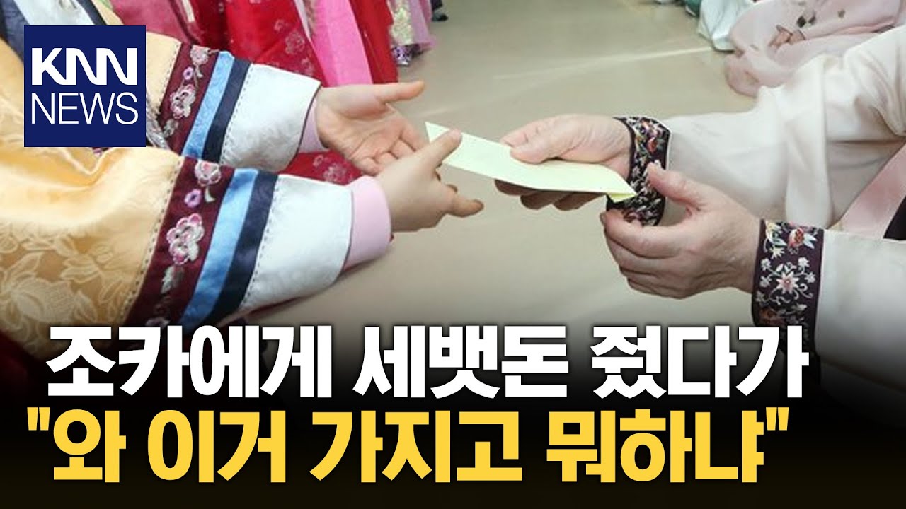 조카에게 3만 원 세뱃돈 줬다가... / KNN