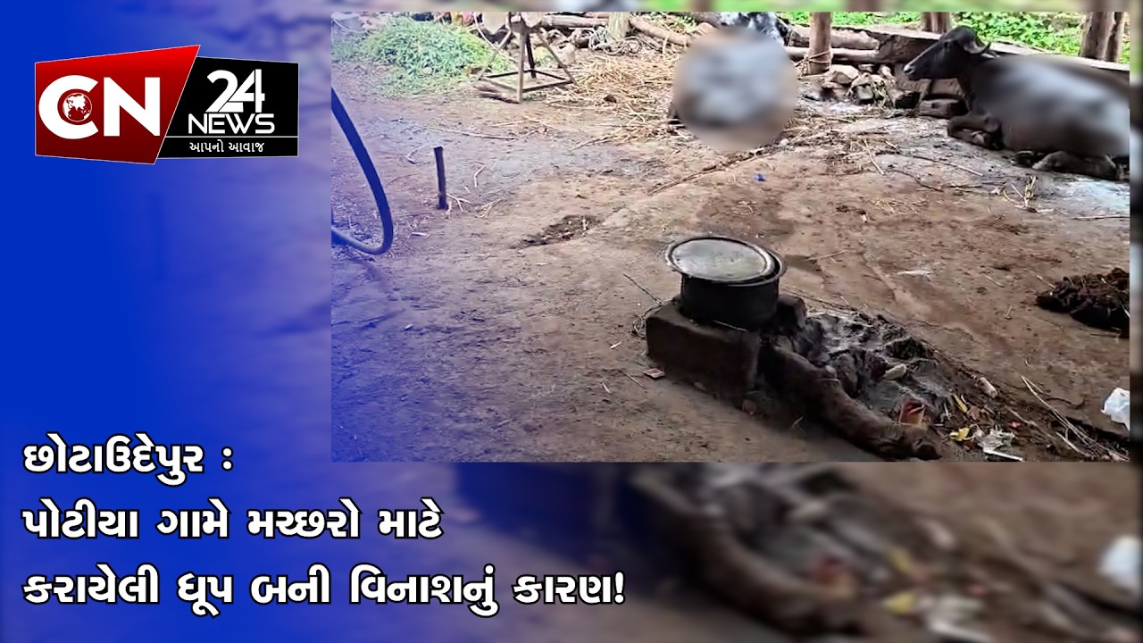 Chhota Udepur: Incense made for mosquitoes in Potiya village became the cause of destruction!