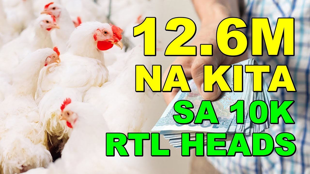 12 6M NA KITA SA 10K RTL HEADS