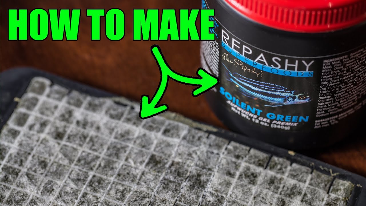 No Waste! How I make Repashy Gel Fish Food