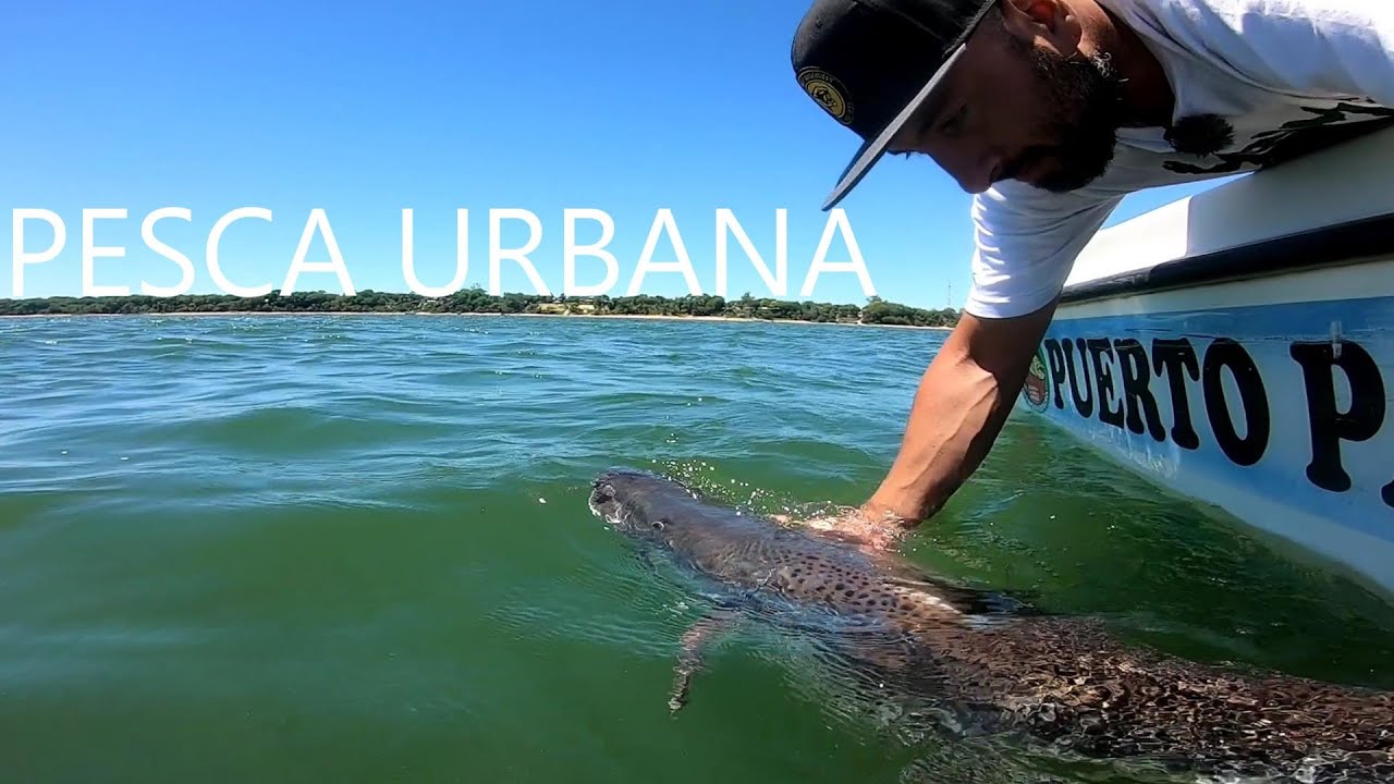 Pesca de GRANDES PECES en It&aacute; Ibat&eacute;, Corrientes. PESCA URBANA 2021, Pousadas PUERTO PARA&Iacute;SO