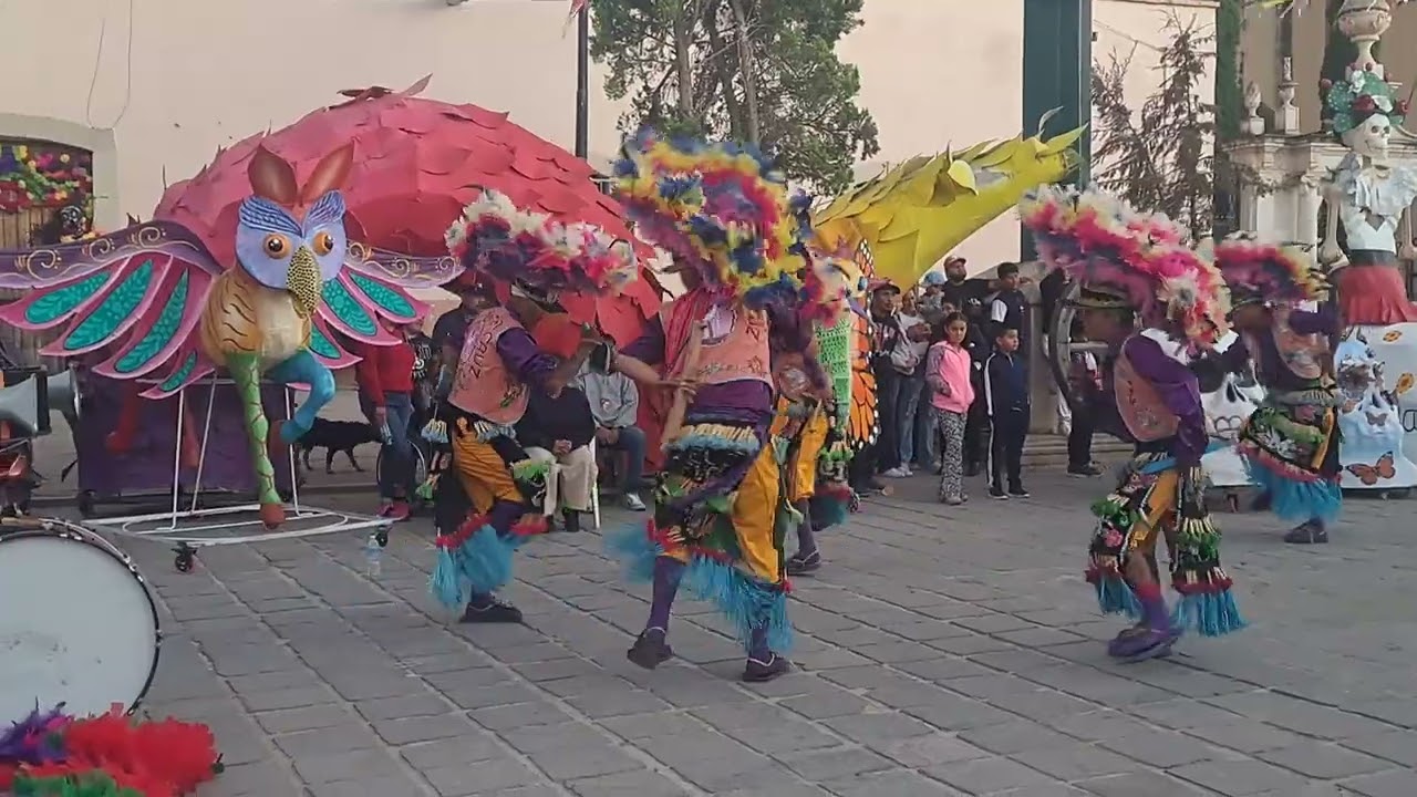 PRESENTACIÓN DE DANZAS EN VILLA GONZALEZ ZACATECAS, ALUCIVO AL DIA DE MUERTOS  03/NOV/2024