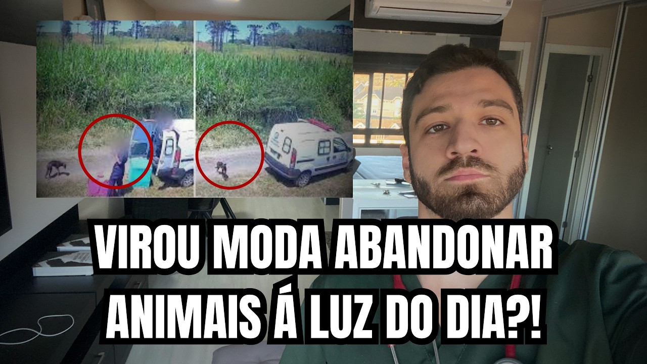 Ambulância veterinária ABANDONA animais na mata?! Lei autoriza isso? Entenda agora