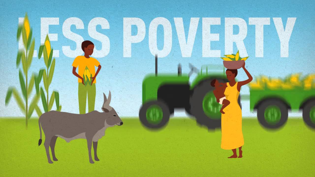 Greenify for Climate Recovery | English | Justdiggit