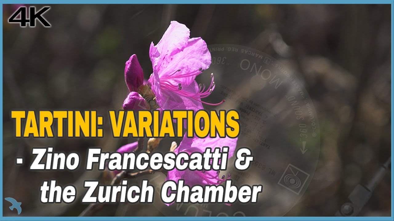 Zino Francescatti and the Zurich Chamber Orchestra - Tartini: Variations (1966) 4K