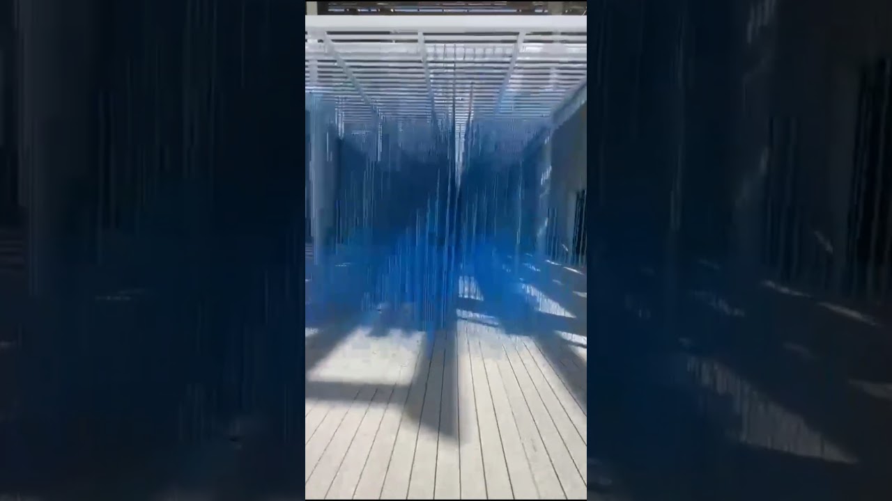 El juego del laberinto azul || Museo de Pérez || Miami 
