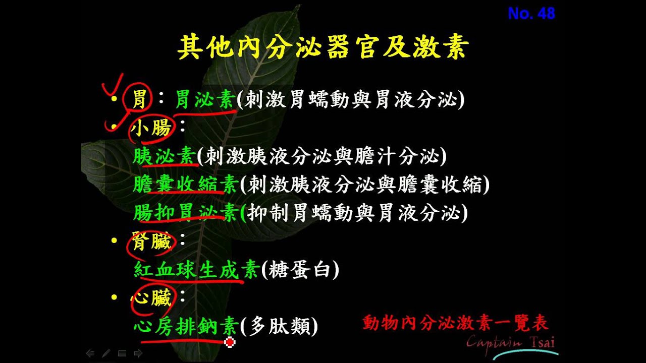 9 4 14胸腺、胃、小腸、腎、心的內分泌功能三捷