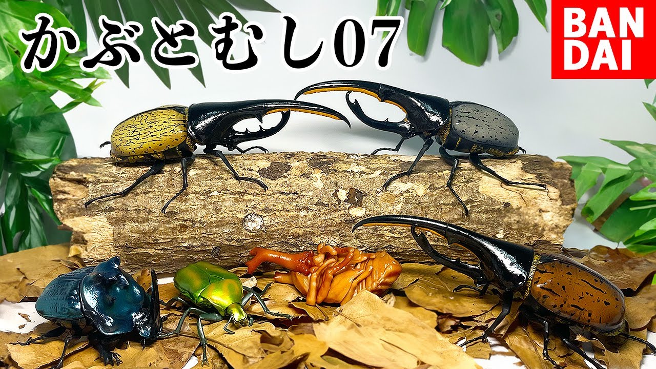 【神ガチャ】これ、全部¥500のガチャガチャだって...😱[いきもの大図鑑/かぶとむし07]